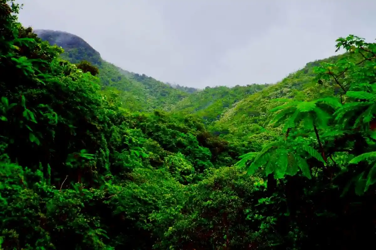 Montañas de Puerto Vallarta